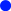 Lieferung innerhalb 7 Werktagen